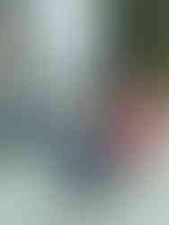 Exposition "France Olympique - Les Bleus dans les Jeux"