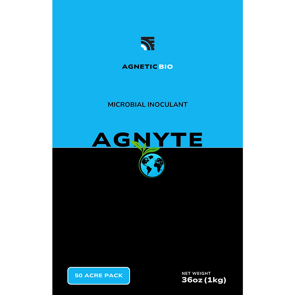 Website Logos Icons and More (5).png