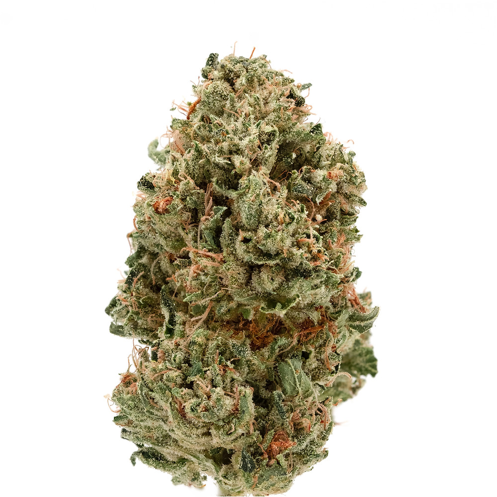 Bobblehead strain profile and review by The Epic Remedy