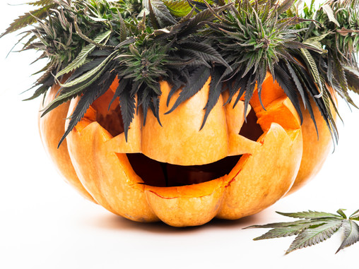 5 Spooky Strains To Get You Ready for Halloween