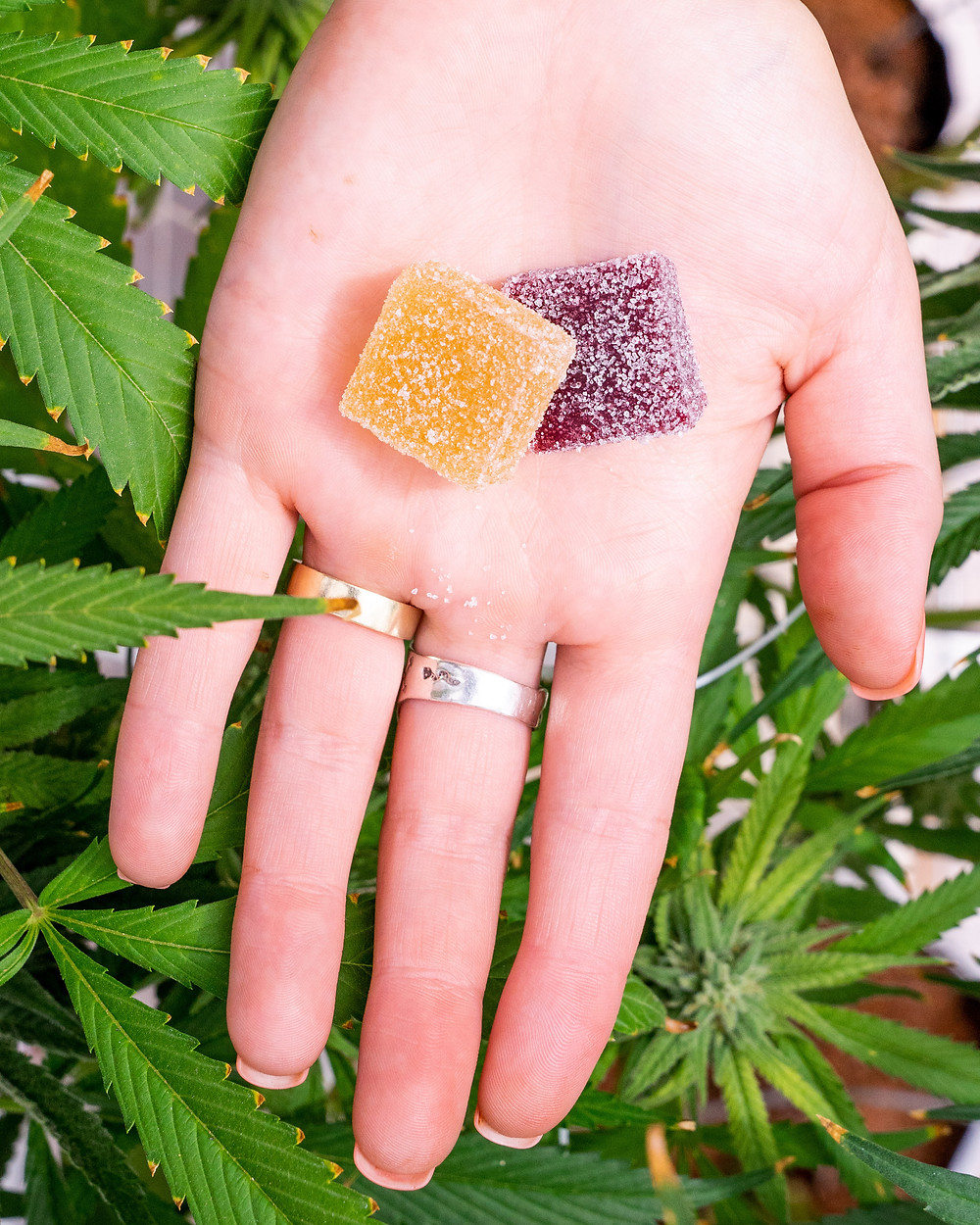 The Lowdown on Epic Remedy Edibles