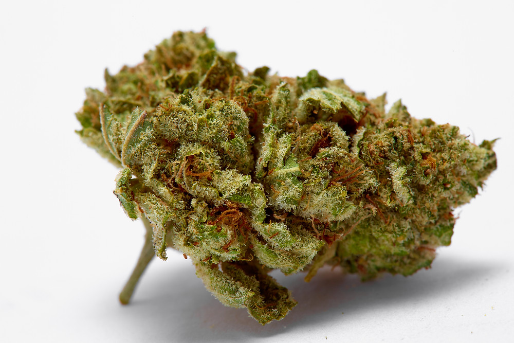 sour diesel strain profile and review by the epic remedy colorado springs best dispensary