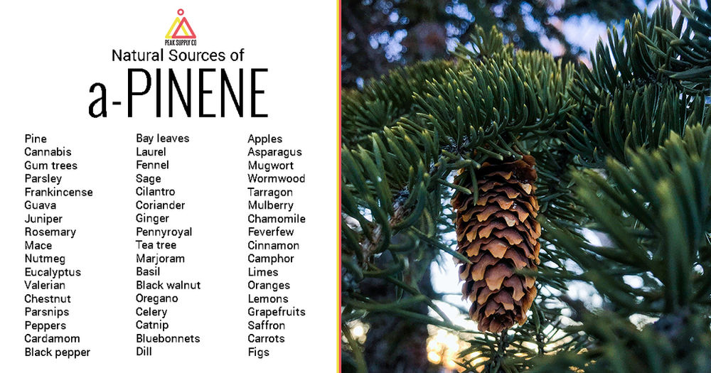 Terpene Isolates 101 aPinene