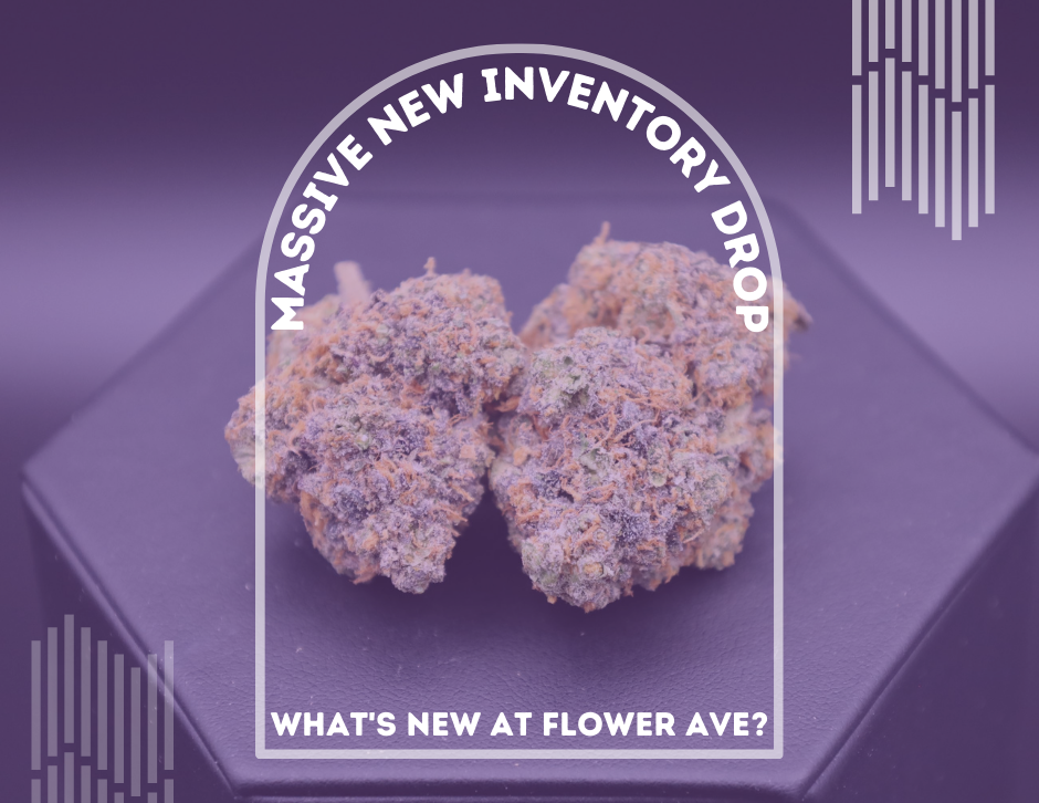 New Arrivals at Flower Ave