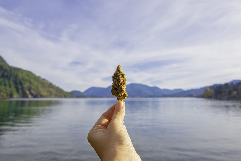 Colorado Springs medical marijuana