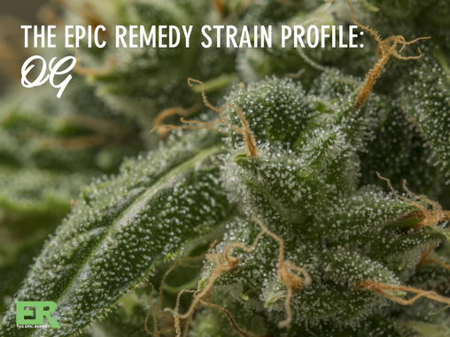 Epic Remedy Strain Profile: OG