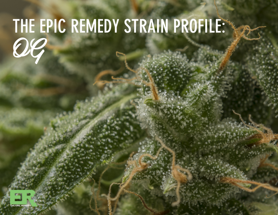 OG strain profile and review by the epic remedy, colorado springs' best dispensary.