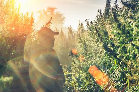 AdobeStock_178802063.jpeg
