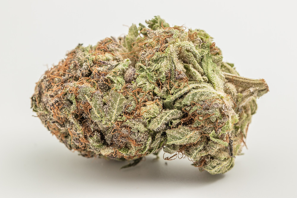 bordello strain profile and review by the epic remedy the best dispensary in colorado springs