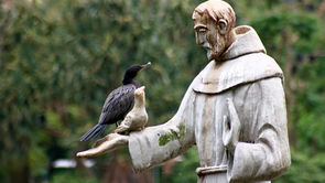 São Francisco e o cuidado com a criação