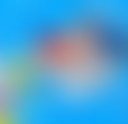 ESTAR NAS REDES: Por quantidade ou simplesmente anunciar?