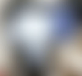 CARTA SOBRE O DESARMAMENTO - ORDEM FRANCISCANA SECULAR DO BRASIL