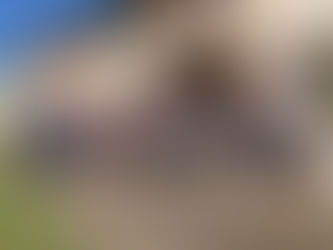 Capítulo das Esteiras em Três Passos