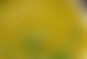 Snert in de Panne – zaterdag 6 december 2025