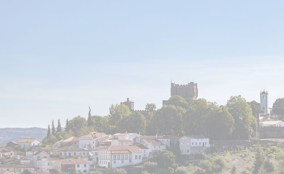 leandro-silva-DhsI_XMb-_4-unsplash_edited_edited.jpg
