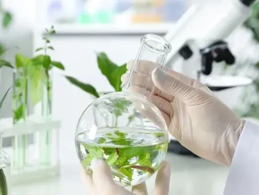 Tương Lai Của Nhiên Liệu Sinh Học & Tổng Hợp: Cơ Hội Và Thách Thức Cho Ngành Hóa Chất