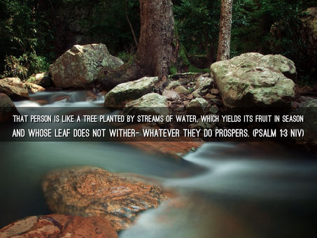 November 03, 2021: Are We Living a Life Like a Tree That Is Planted by Water? Or Do We Need Pruning?