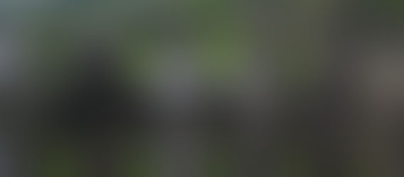 Weathered wooden fence with "PRIVATE" text, set in a green countryside with stone walls and trees under a cloudy sky.