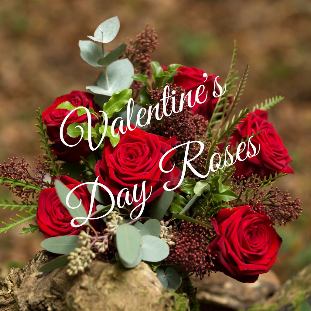 Red Valentine's Roses