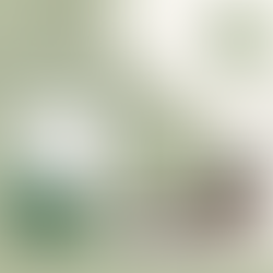 Jak szybko pomalować mieszkanie?