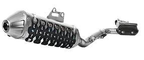 PROTTECTOR_edited.png