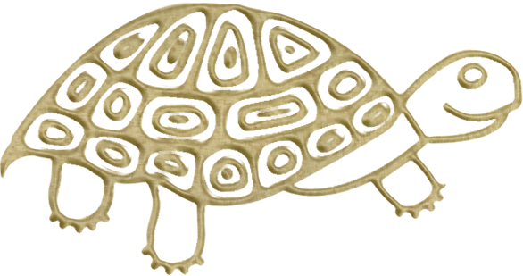 Schildkröte