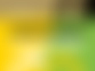 Recursos Humanos, una materia relacionada con todas las profesiones