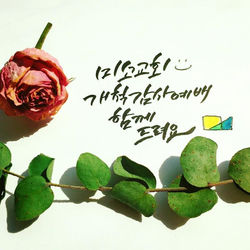 개척감사예배 초대장