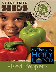 red pepper holy land.jpg