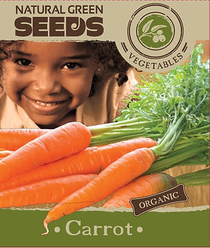 carrot.jpg