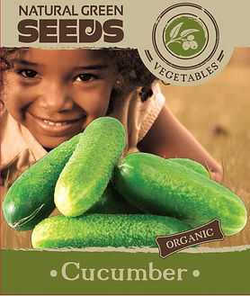 cucumber.jpg