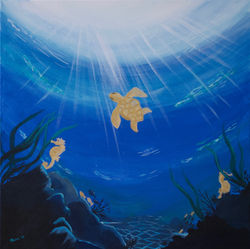 Ocean Wonders