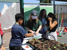 First 7th Grade Planting of 2026
