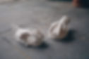 WM hands 2.jpg