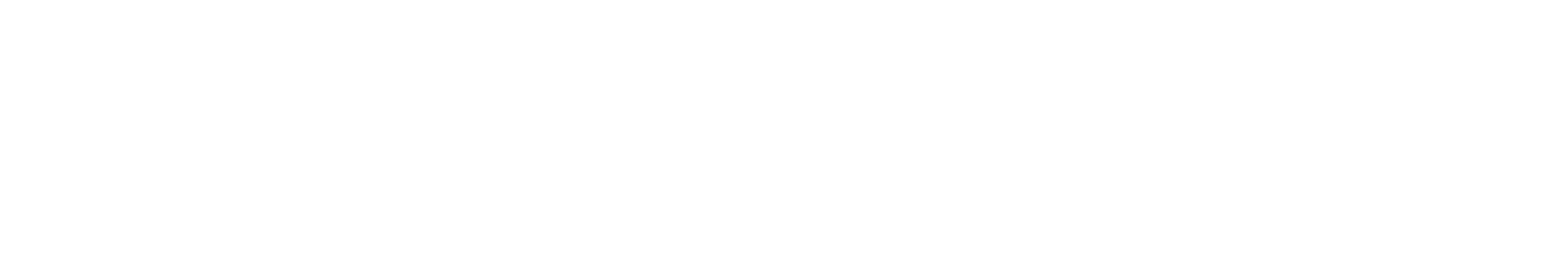 Logo Niu Store Roma