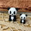 Miniatura: Panda Médio