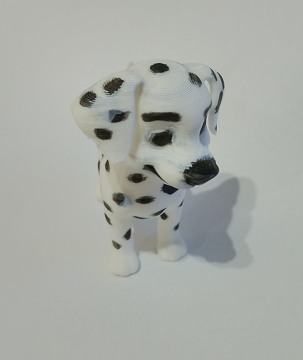 Miniatura: Dálmata - Pintado