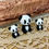 Miniatura: Panda Médio