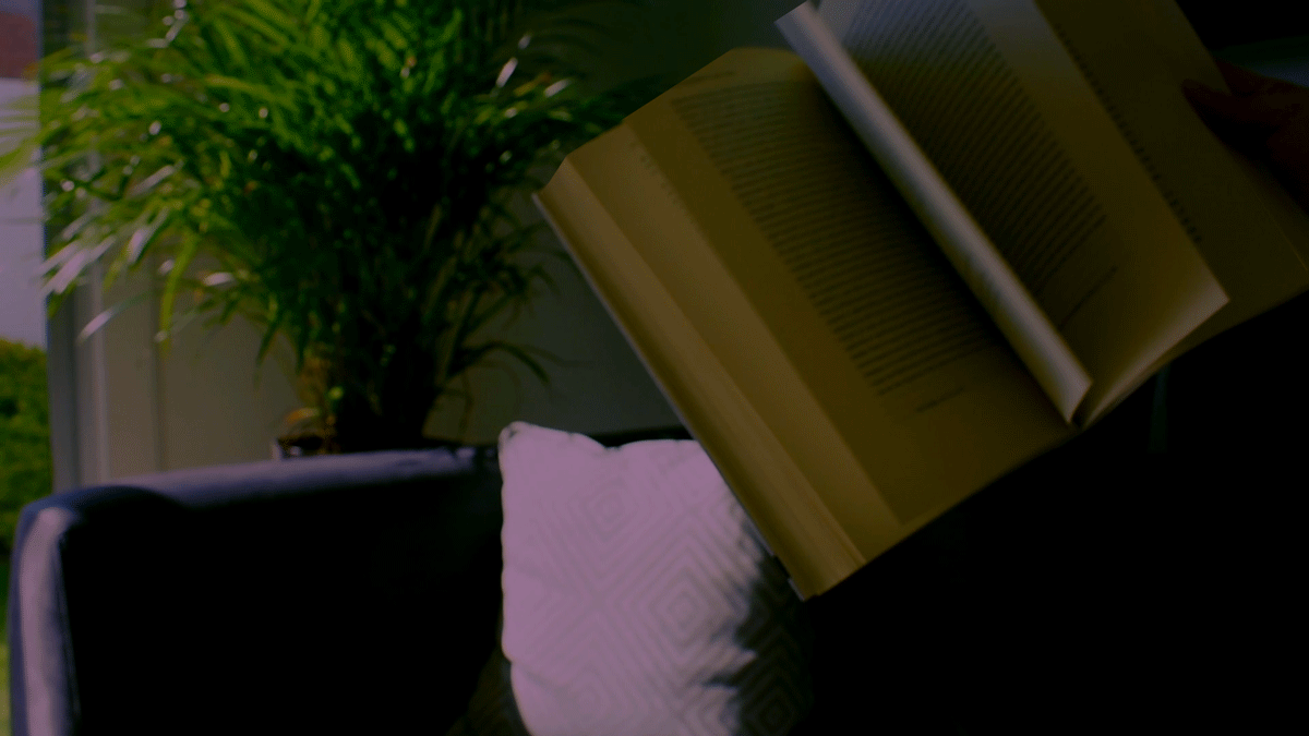 Foucaultlibro.gif