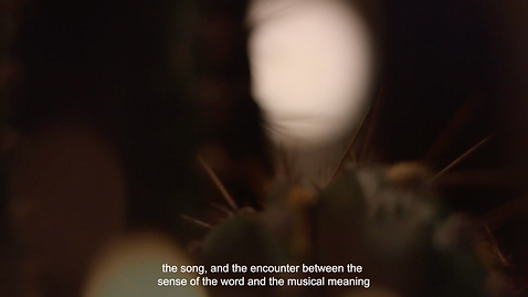 Close up on a cactus. Subtitles read: the song, and the encounter between the sense of the word ...