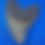 Thumbnail: MEGALODON Shark Tooth Fossil
