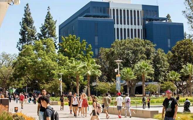 college_edited.jpg