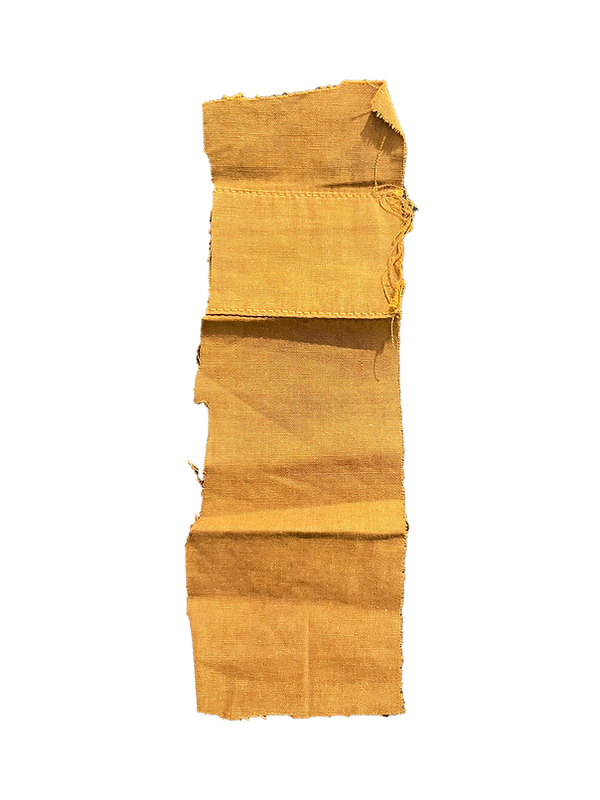 Cloth.png