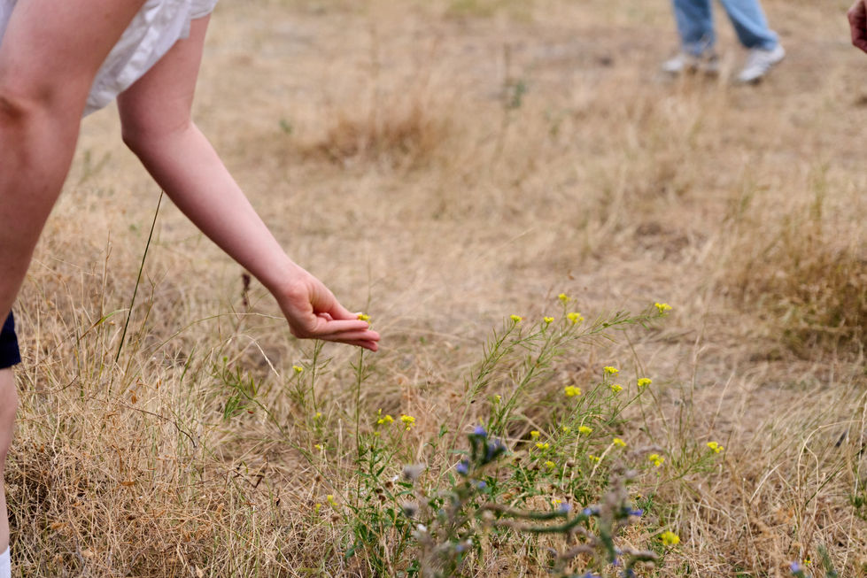 HL_Wasteland_2660_Eva- Wuerdinger_A3_print (67)