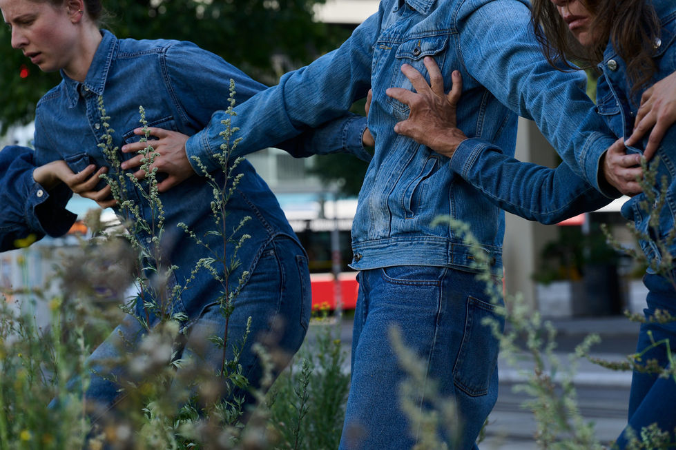 Wasteland August_0100_small