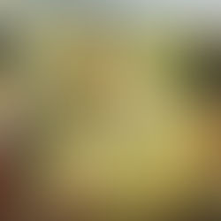 Sekundäre Pflanzenstoffe in der Pferdefütterung