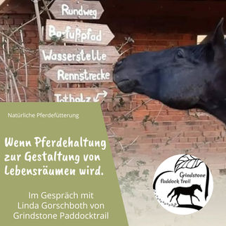 Paddock Trail, Pferdehaltung, Tipps für den Pferdebereich