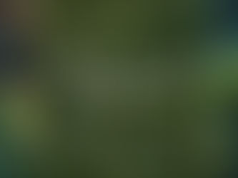 MIM (ehemals PSSM 2)