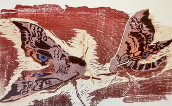 Julia Manning, Eyed Hawk Moths