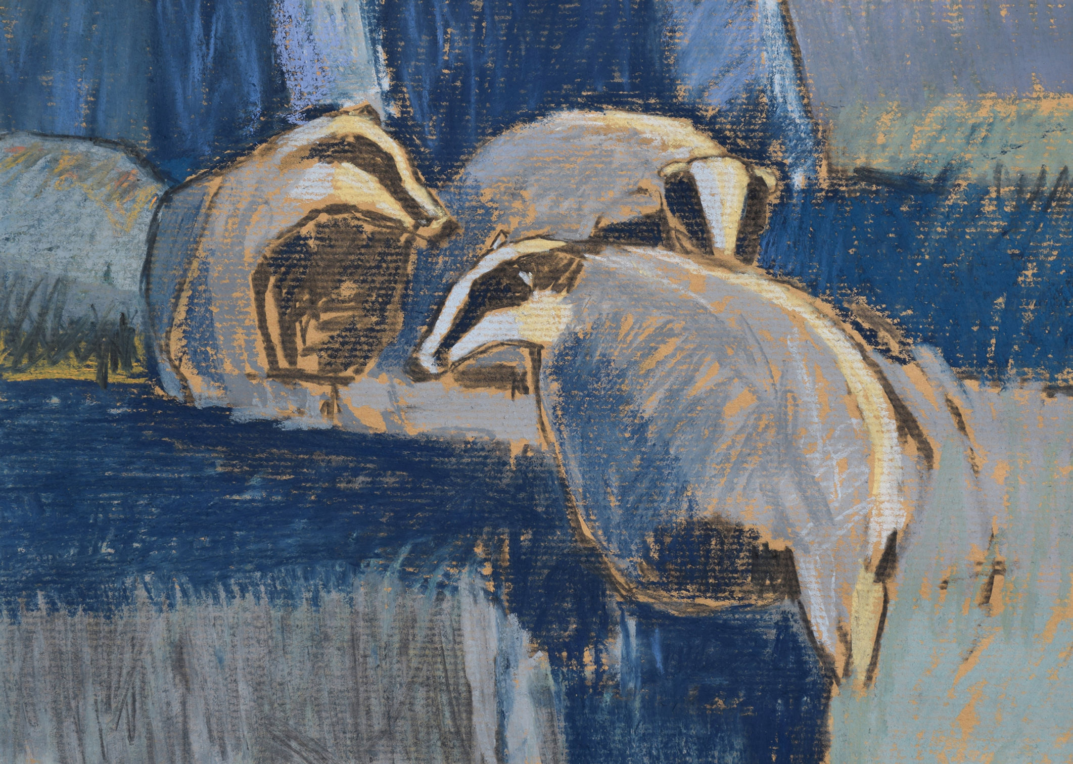 Badgers at the edge of the wood I